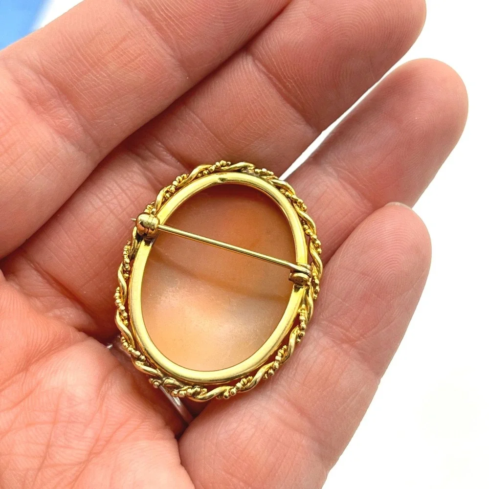 Vintage Shell Cameo Brooch Gold Tone Twisted‎ Rope Frame Hand Carved Profile Pin